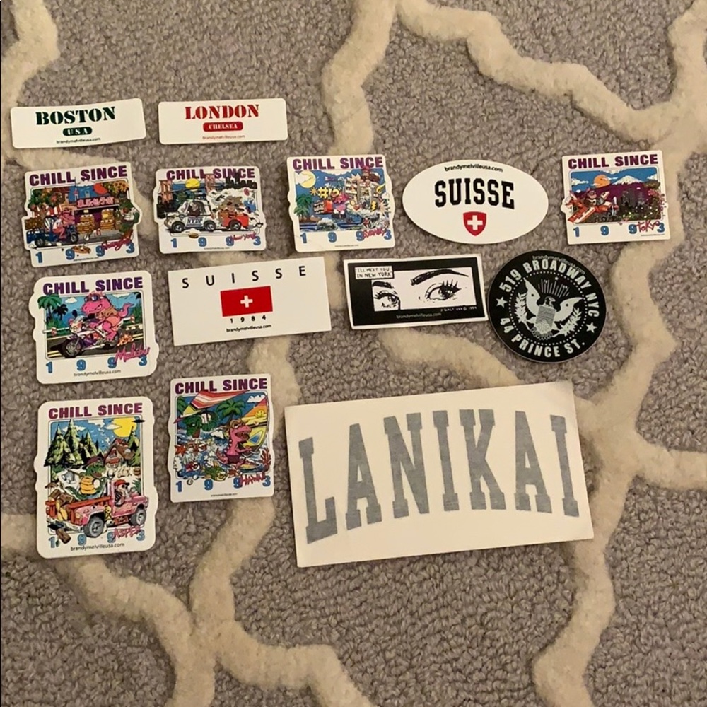 Brandy Melville Sticker Collection (Don’t buy)